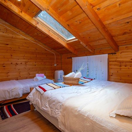 Bee Eco Guest House Moll' e Shoshit Zewnętrze zdjęcie