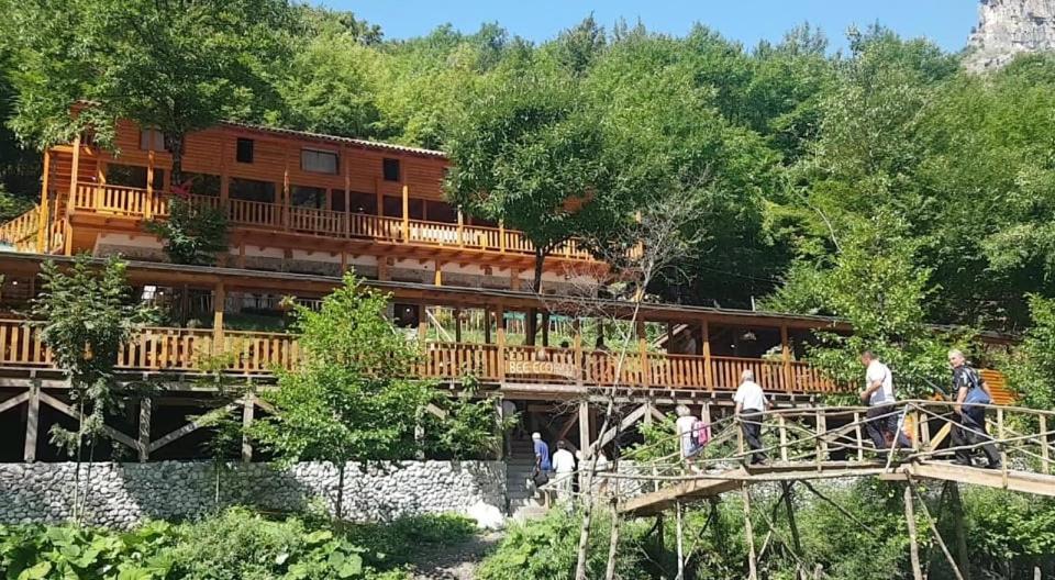 Bee Eco Guest House Moll' e Shoshit Zewnętrze zdjęcie