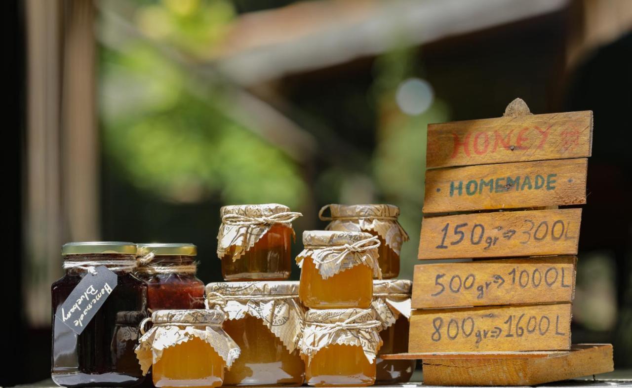 Bee Eco Guest House Moll' e Shoshit Zewnętrze zdjęcie