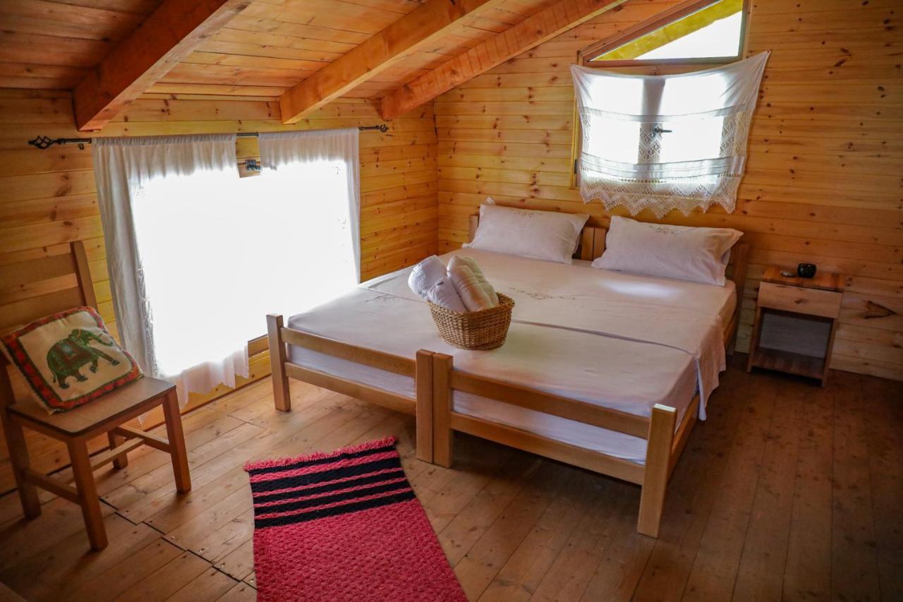 Bee Eco Guest House Moll' e Shoshit Zewnętrze zdjęcie