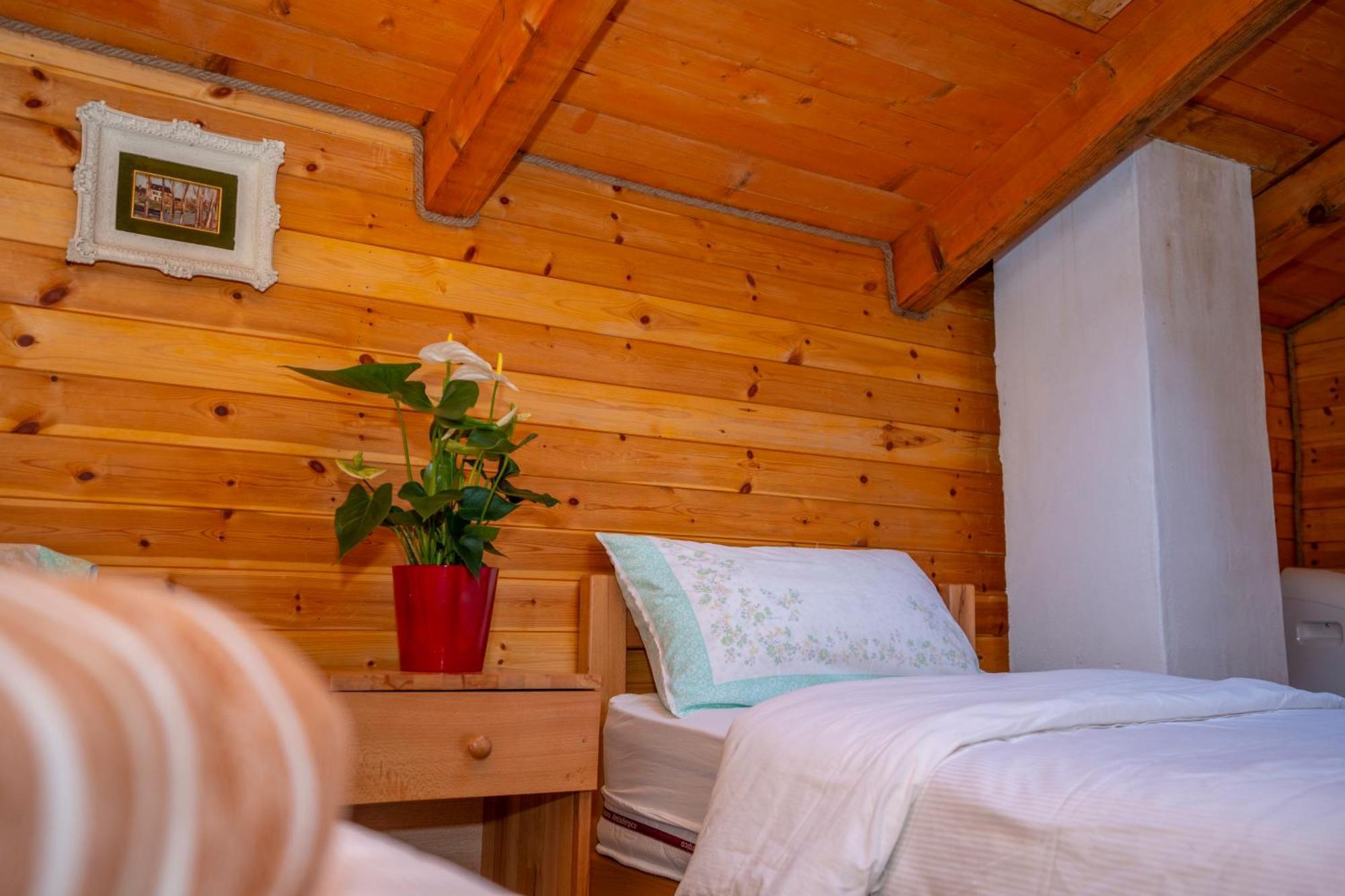 Bee Eco Guest House Moll' e Shoshit Zewnętrze zdjęcie