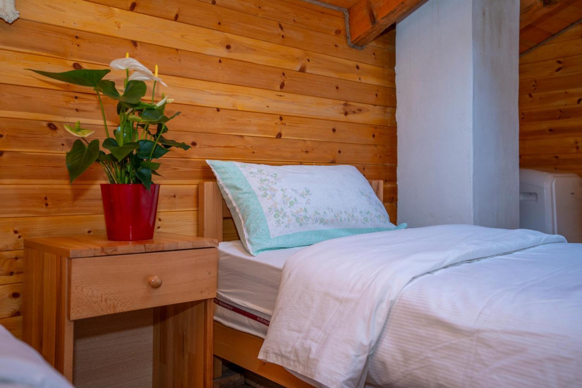 Bee Eco Guest House Moll' e Shoshit Zewnętrze zdjęcie